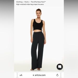 Aritizia Wilfred Effortless Pants Size 4 Regular Length. Like new condition